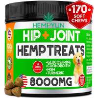 Glucosamine for Dogs - Chondroitin - MSM - Turmeric - Hemp Seed Oil - Natural Pain Relief & Mobility hemp chews