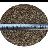 Best Quality 25kg Organic Hemp Seed 99% Edible Bird Hempseed for Agricultural